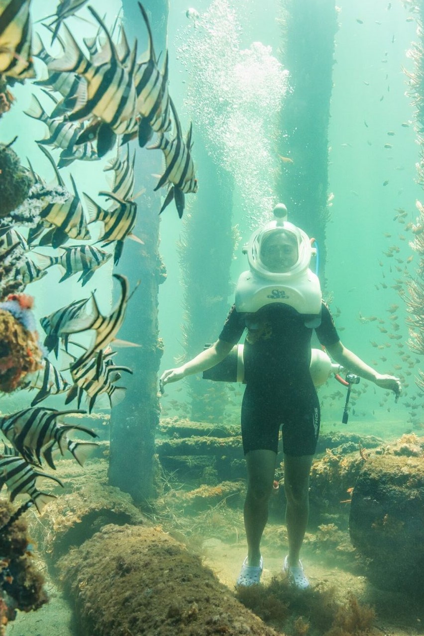 Busselton Jetty Dive
