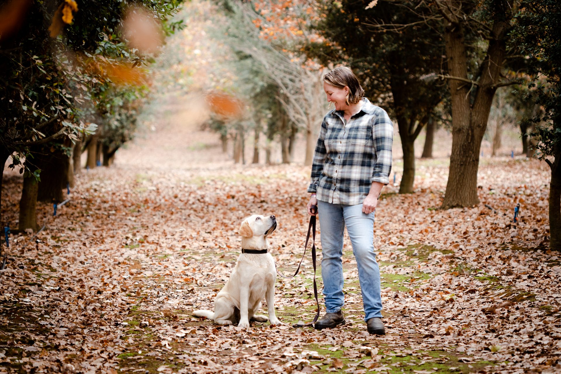 Australian Truffle Traders