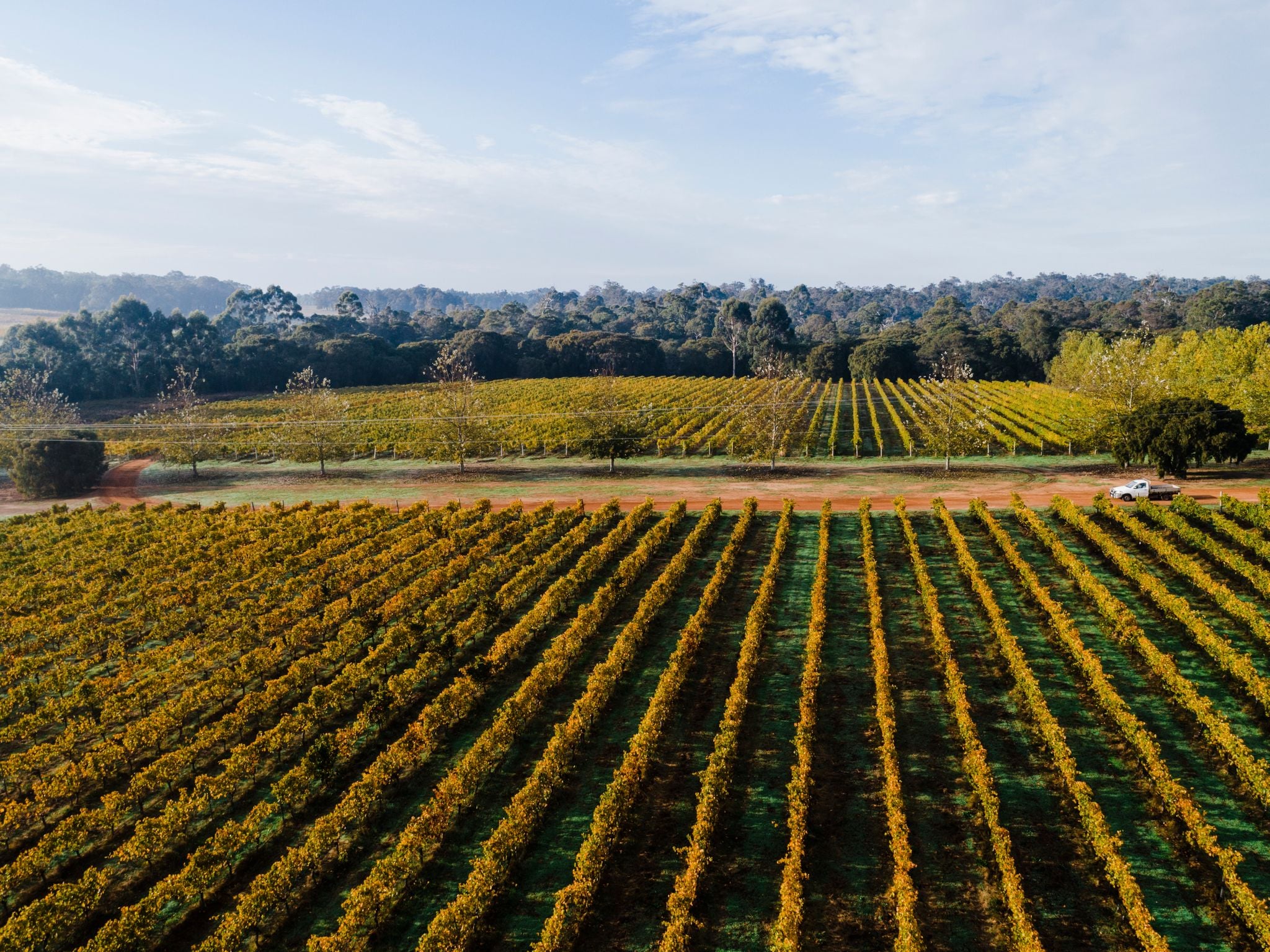 The Terroir of Margaret River Wines The Margaret River Region