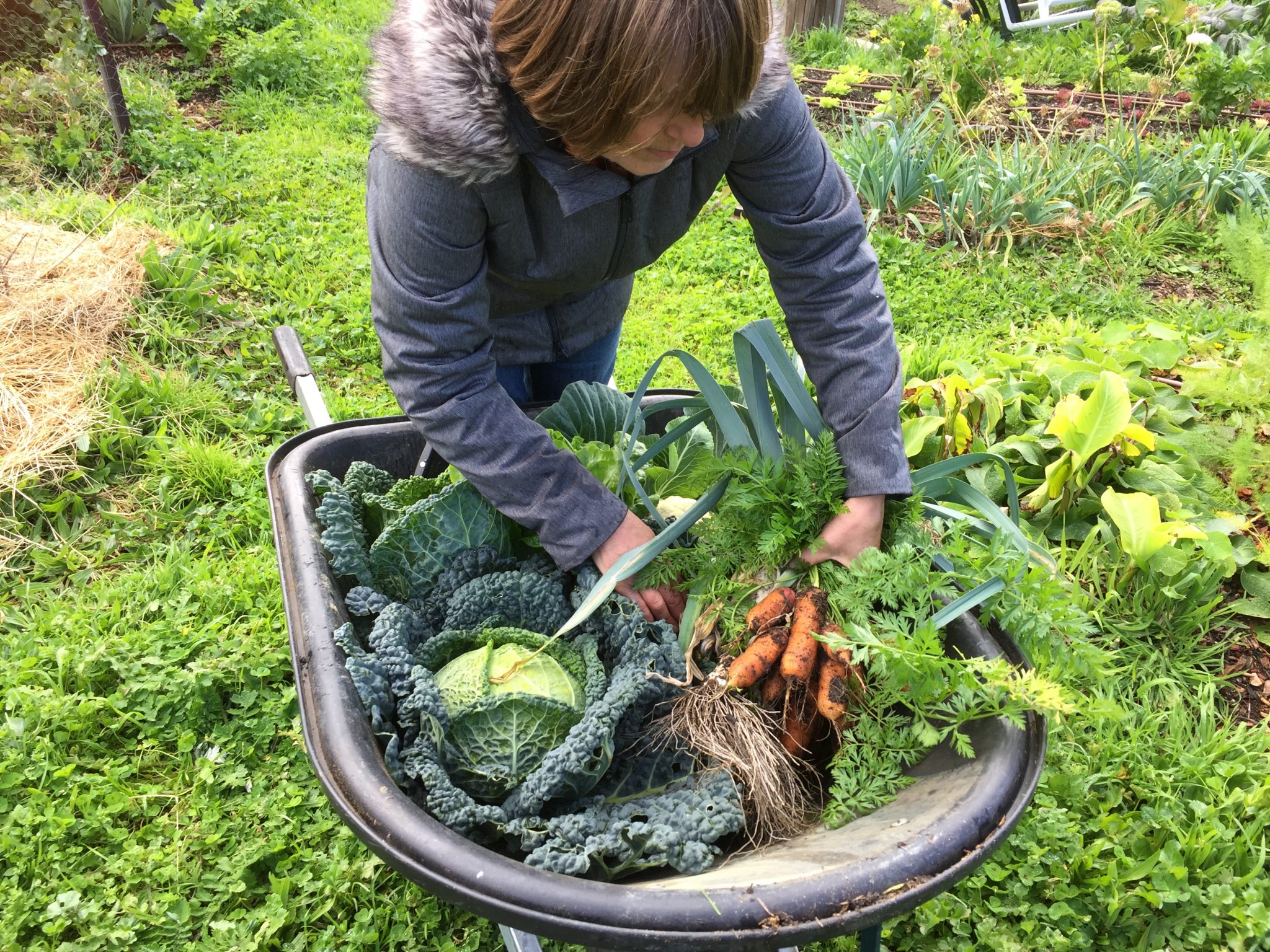 Fair Harvest Permaculture Free Range Produce