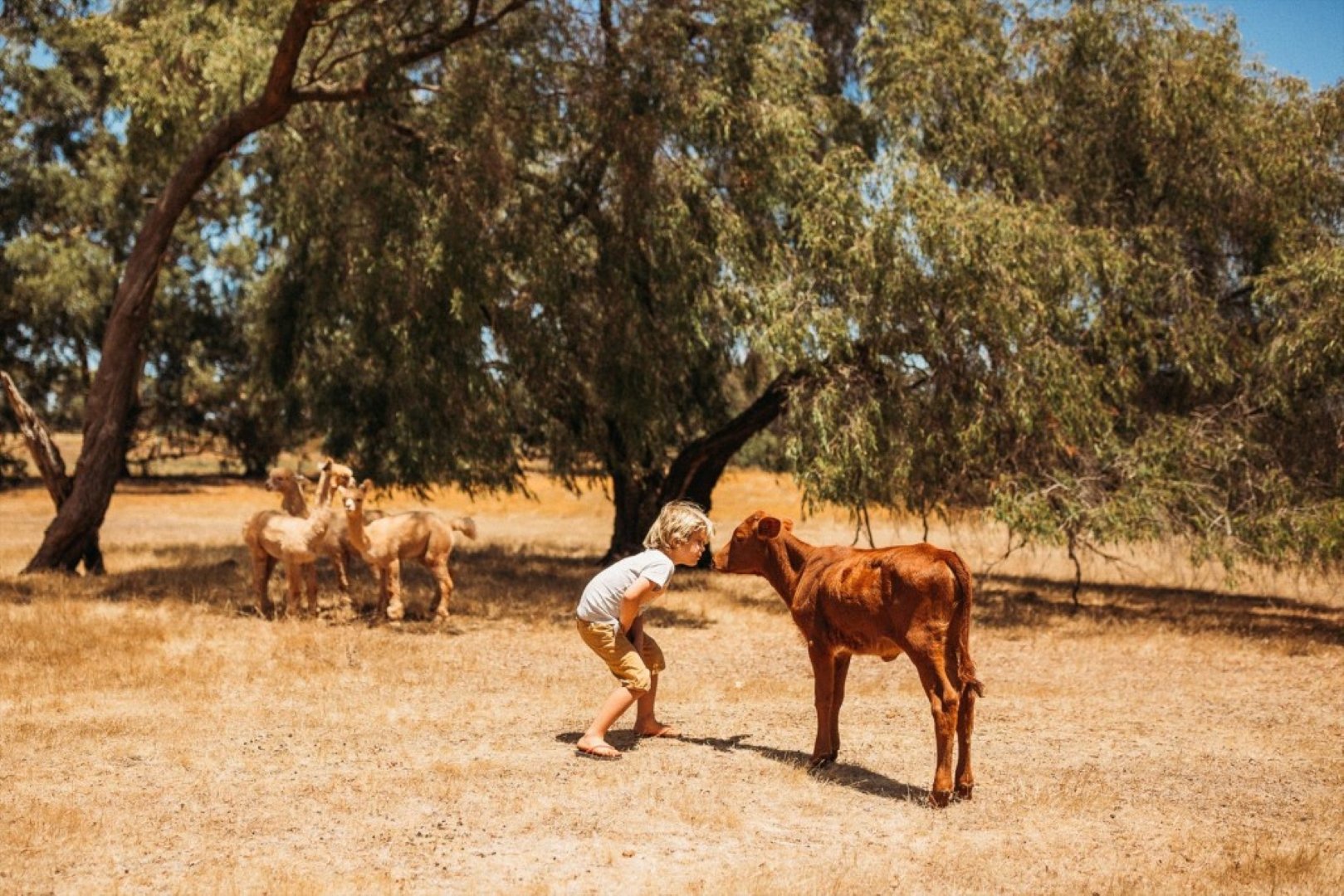 Margaret River Holiday Cottages