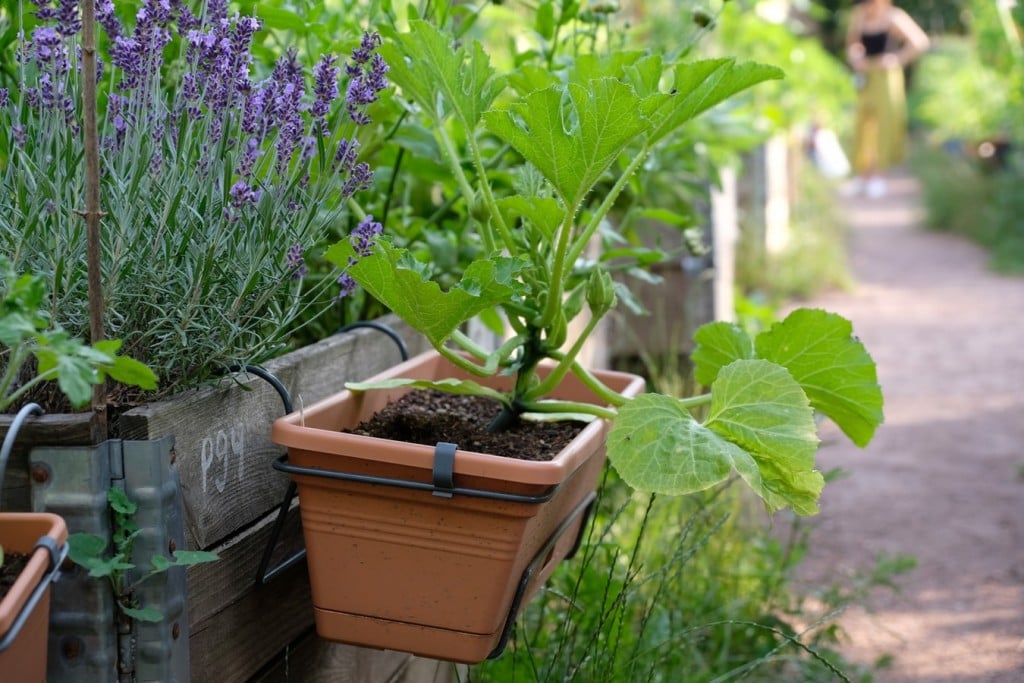 Margaret River Organic Garden Trail