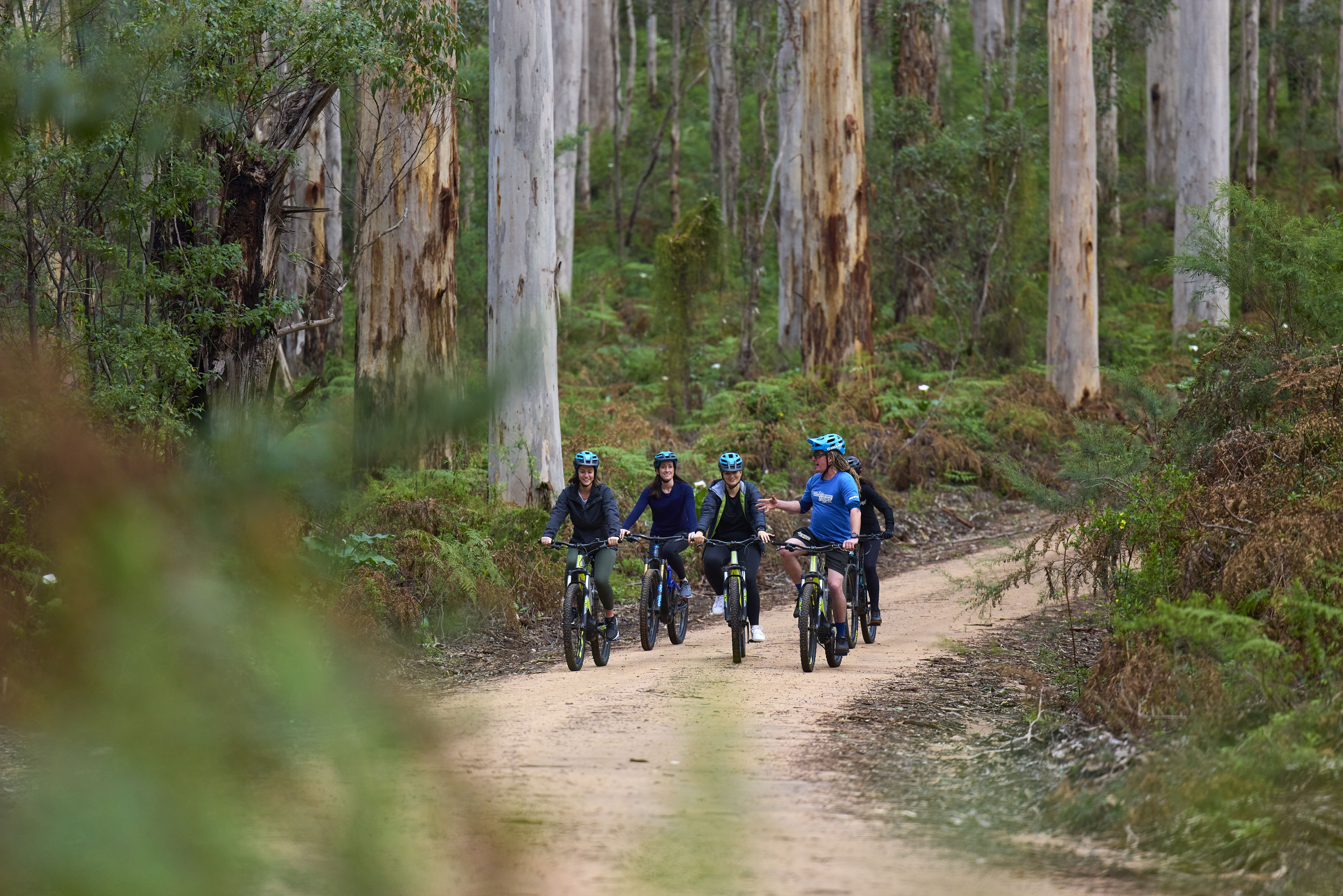 Electric by tour with Margaret River Mountain Bike Tours