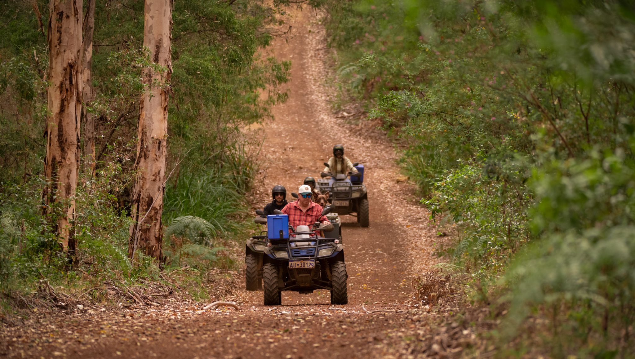 Eco Adventures Forest-web Credit Nathan Dobbie