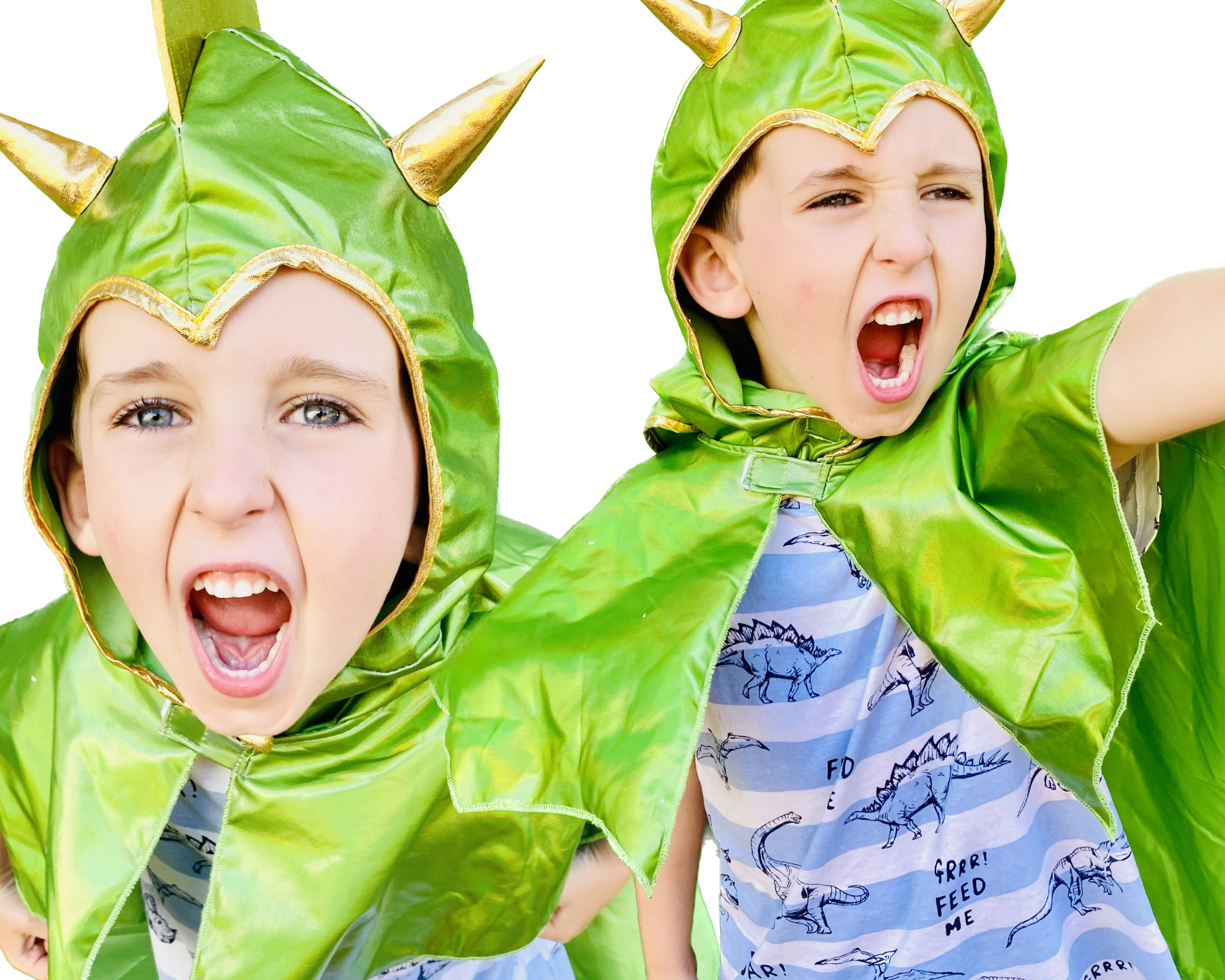 Musical Theatre Margaret River Performance for Kids The